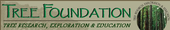TREE Foundation
