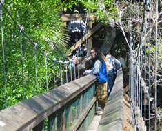 Myakka Photo